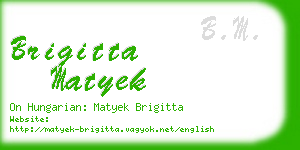 brigitta matyek business card